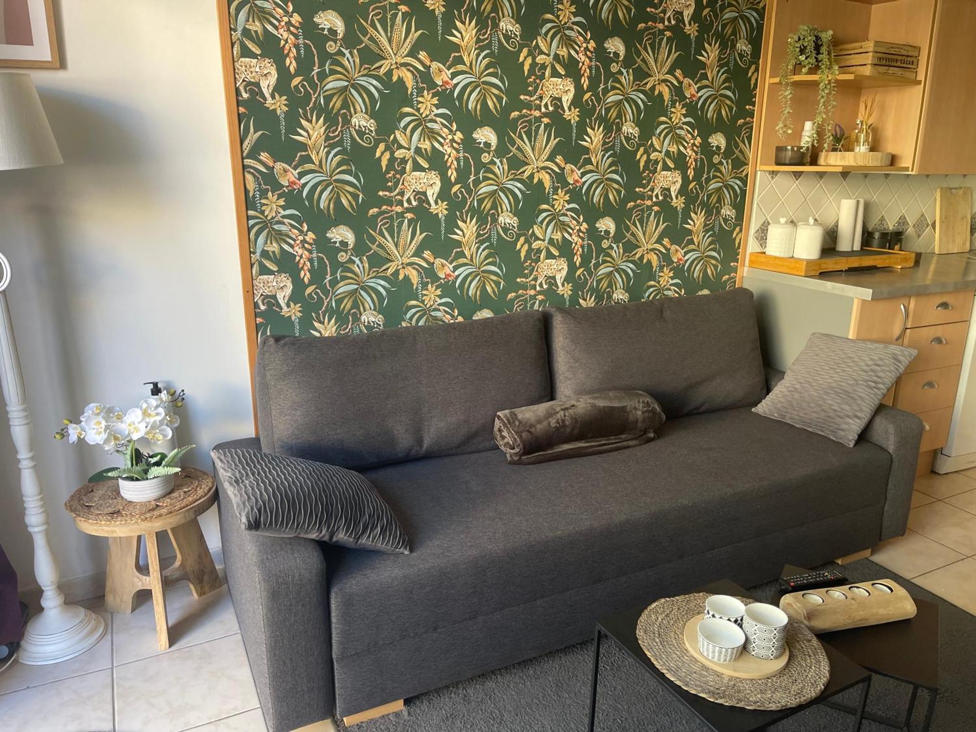 Duplex Cosy Bord De Mer Сен-Сір-сюр-Мер Екстер'єр фото